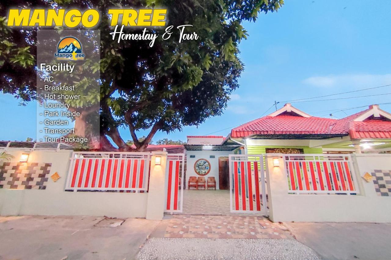 Mango Tree Homestay & Ijen Tour 바뉴왕기 외부 사진