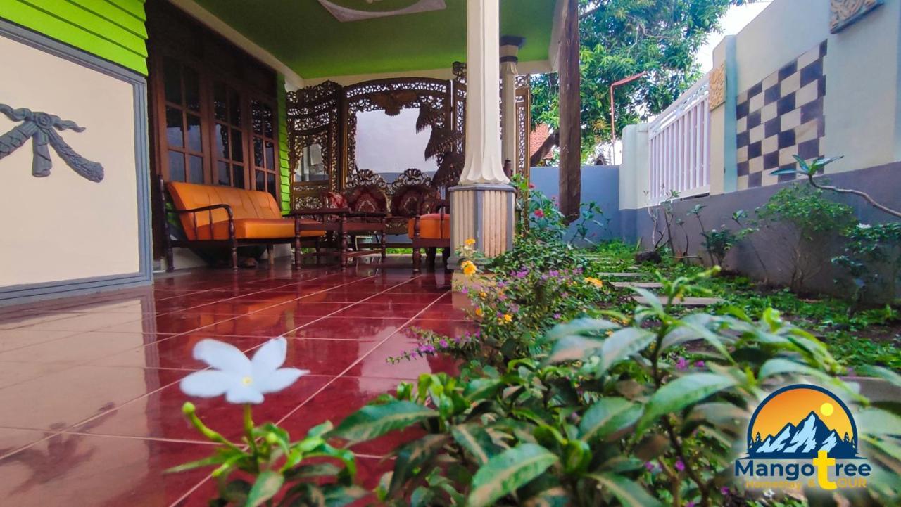 Mango Tree Homestay & Ijen Tour 바뉴왕기 외부 사진