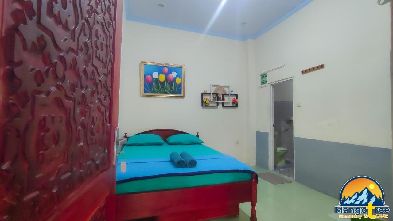 Mango Tree Homestay & Ijen Tour 바뉴왕기 외부 사진