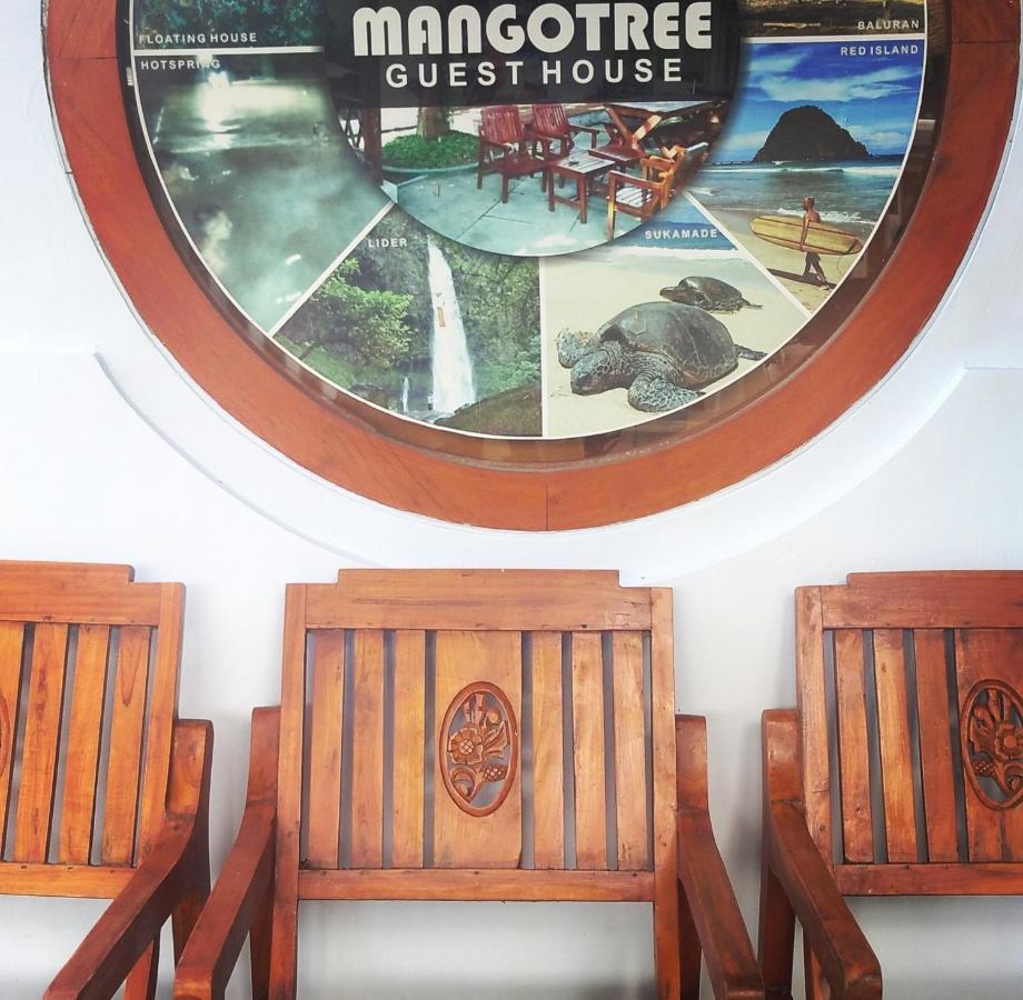 Mango Tree Homestay & Ijen Tour 바뉴왕기 외부 사진