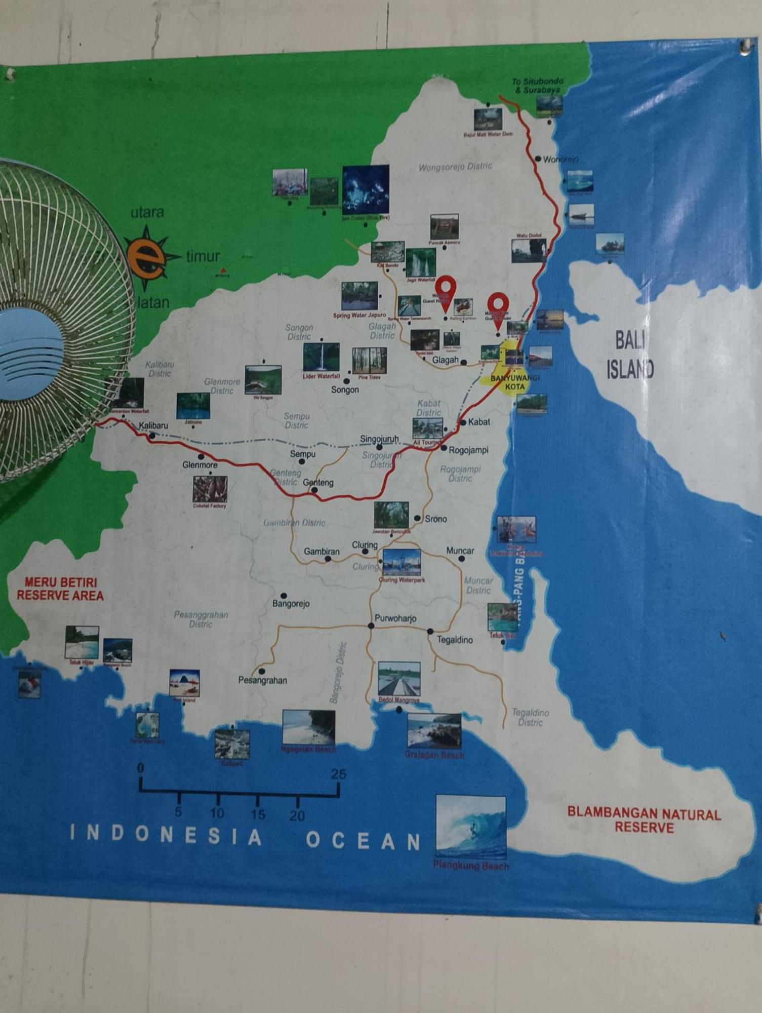 Mango Tree Homestay & Ijen Tour 바뉴왕기 외부 사진
