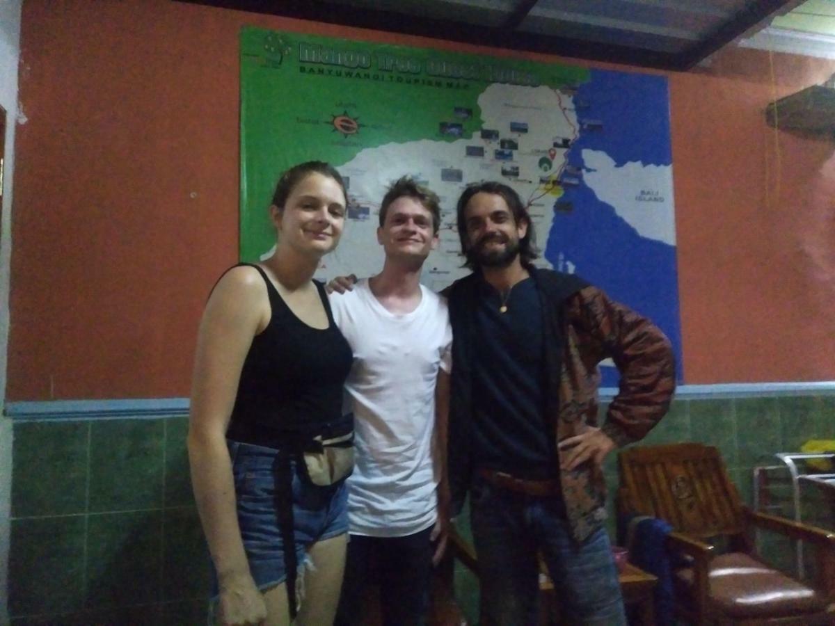 Mango Tree Homestay & Ijen Tour 바뉴왕기 외부 사진