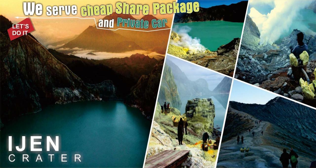 Mango Tree Homestay & Ijen Tour 바뉴왕기 외부 사진