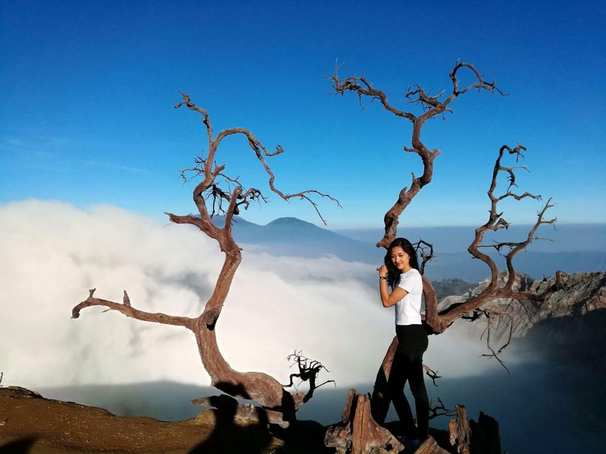 Mango Tree Homestay & Ijen Tour 바뉴왕기 외부 사진